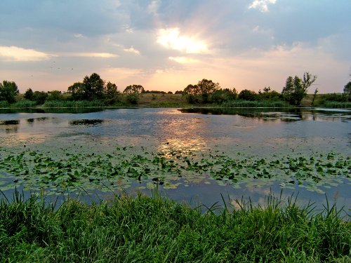 Рыболовный календарь на август 2020 года