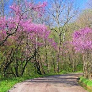 Народные приметы на 24 апреля – День Антипа Половода