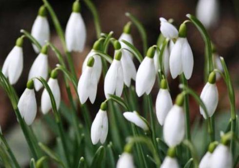 апрель приметы