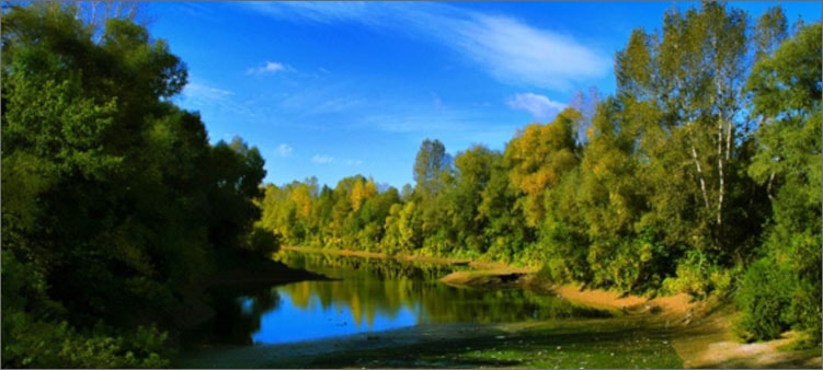 природа-в-августе