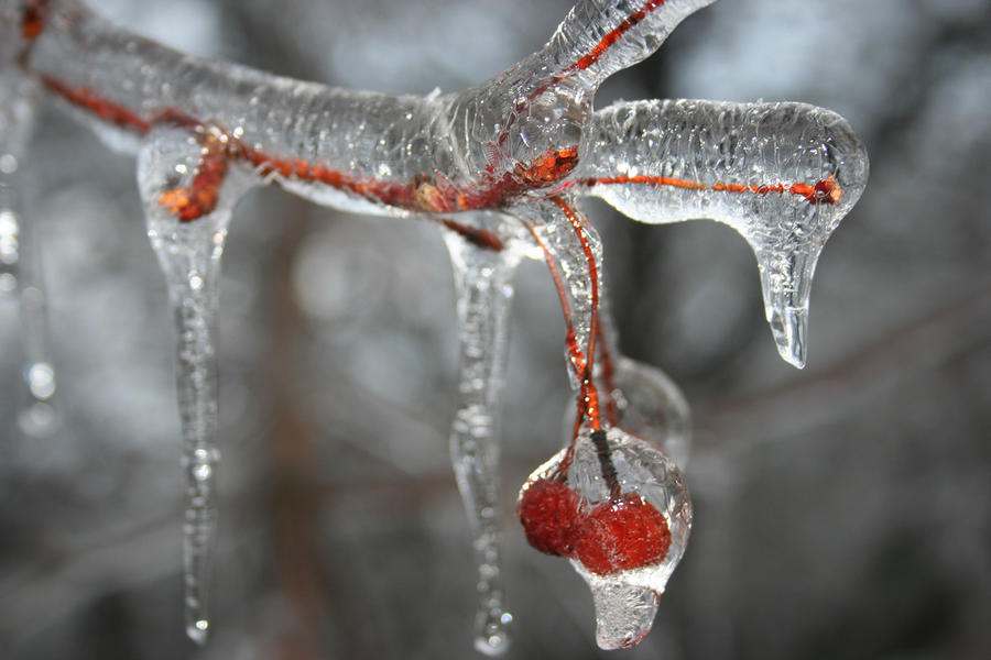 Народные приметы и традиции 16 февраля - день памяти святых угодников Анны Пророчицы и Симеона Богоприимца