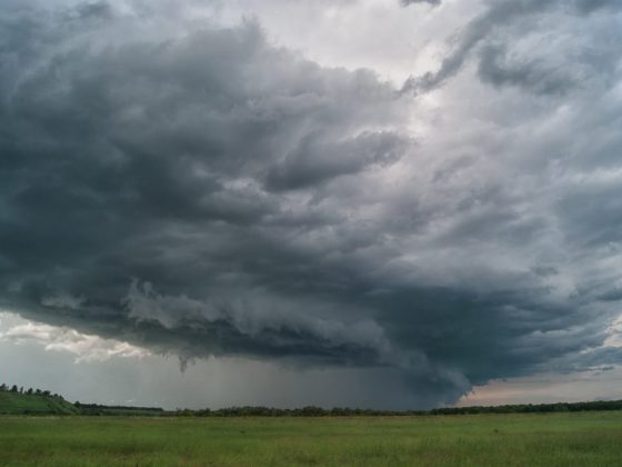 На каждый день своё предсказание