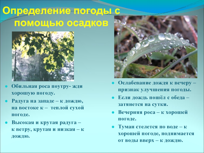 Определение погоды с помощью осадковОбильная роса поутру- жди