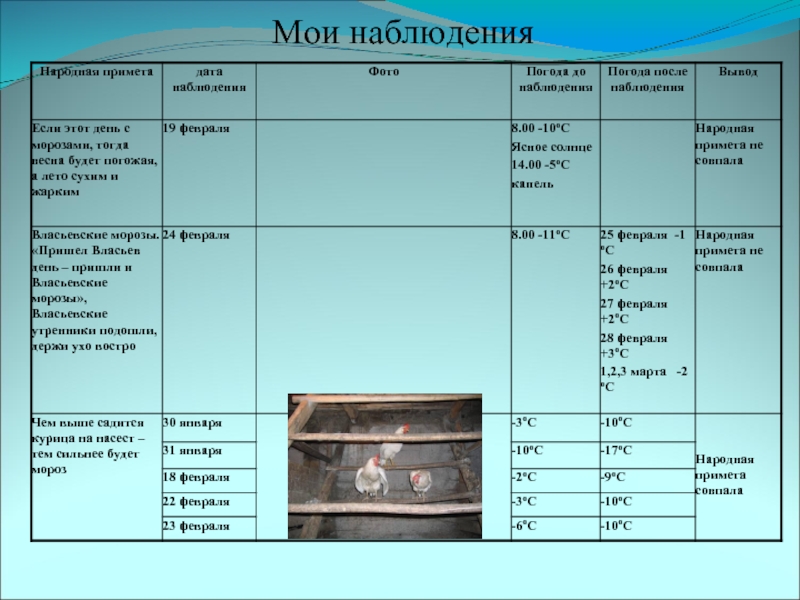 Мои наблюдения