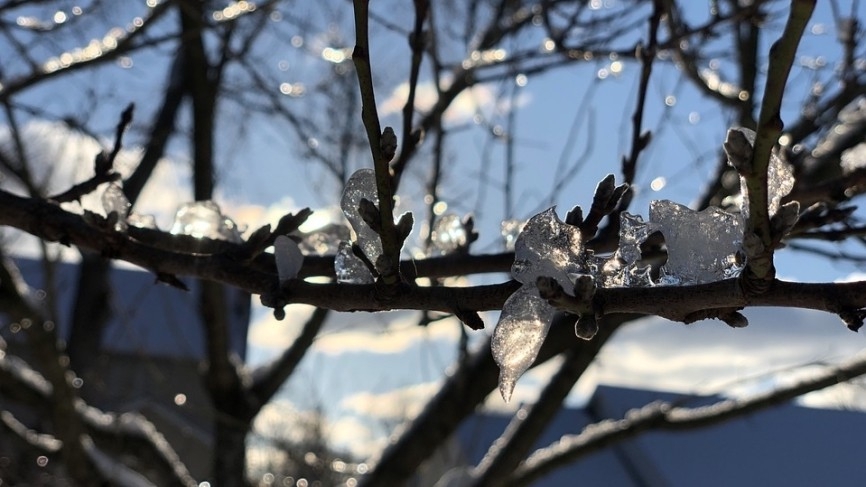 Народные приметы на 30 марта: погода на Алексеев день все расскажет о лете