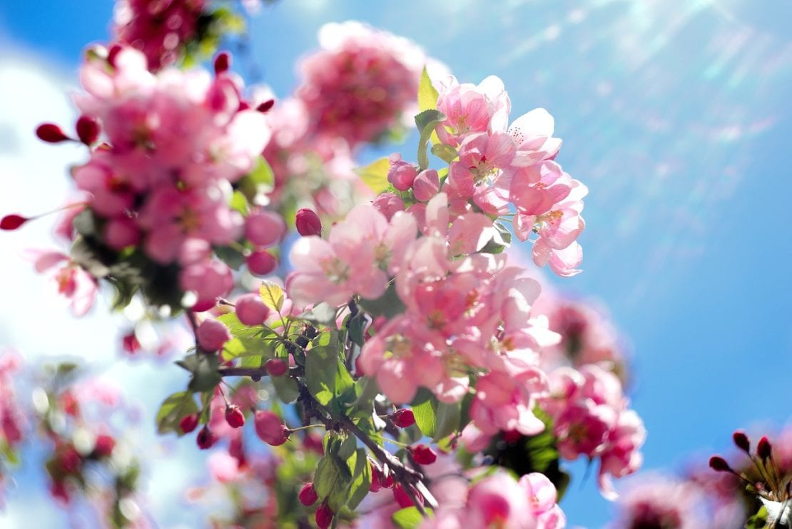 Народные приметы на май 2020 на каждый день