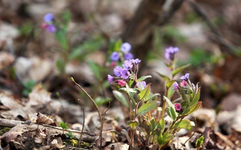 Народные приметы и праздники 17 мая 2020 года, что нельзя делать в этот день, обряды и традиции