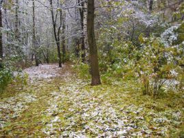 Народные приметы ноября о погоде - толкование по дням недели