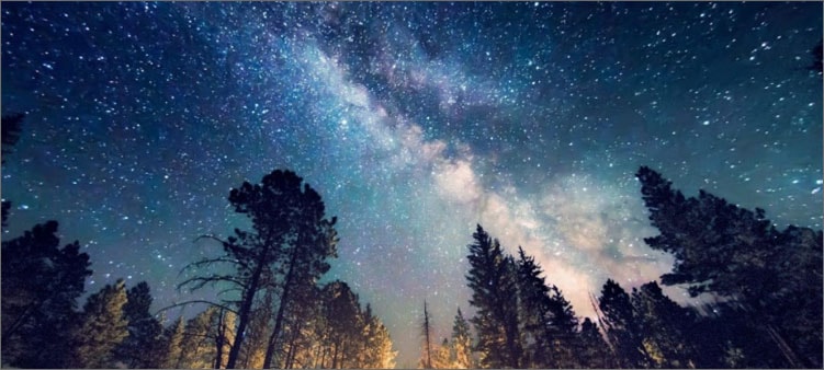 лес-и-млечный-путь