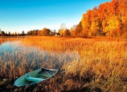 приметы погоды осенью