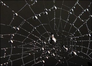 Народные приметы к перемене погоды