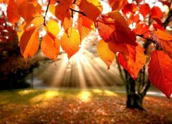 народные приметы о погоде