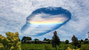 Приметы на основе наблюдений за животными. Приметы про погоду, которые определяют по животным