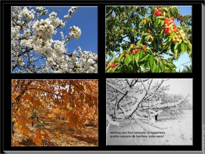 народные приметы на сегодняшний день по погоде