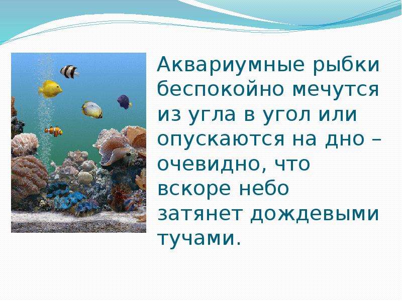 Народные приметы о погоде, слайд №8
