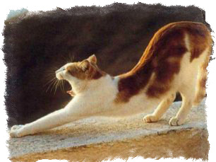 народные приметы хорошей и плохой погоды