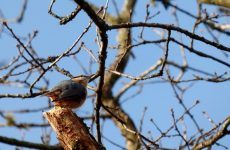 народные приметы на сегодняшний день по погоде