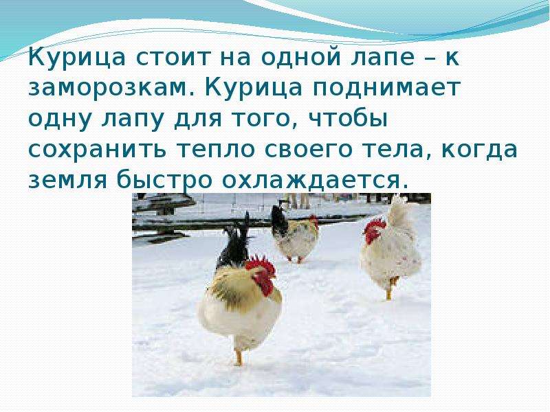 Народные приметы о погоде, слайд №4