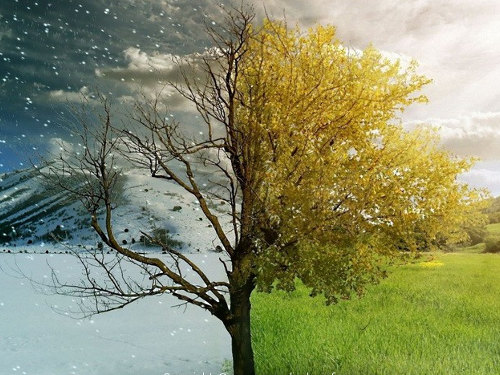 Народные приметы о погоде на весь год по месяцам