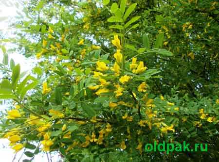 народные приметы о погоде весной