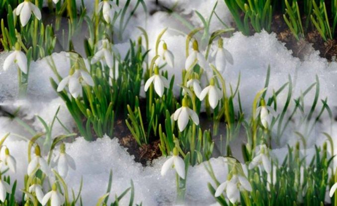 народные приметы на сегодняшний день по погоде