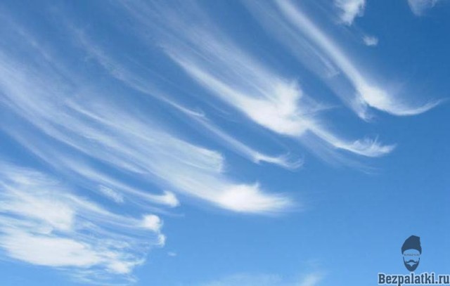 Народные приметы о погоде, календарь предсказаний на весь год