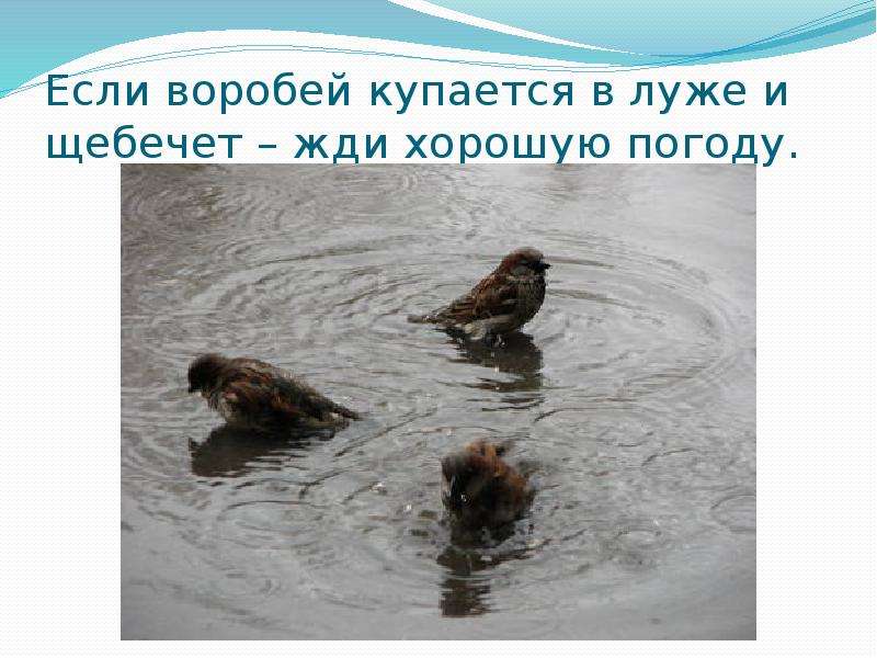 Народные приметы о погоде, слайд №10