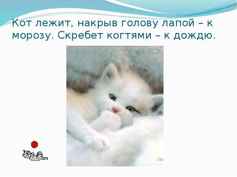 Народные приметы о погоде, слайд №6