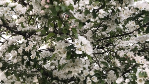 Народные приметы о погоде: как предсказать снег, дождь, солнце в любое время года