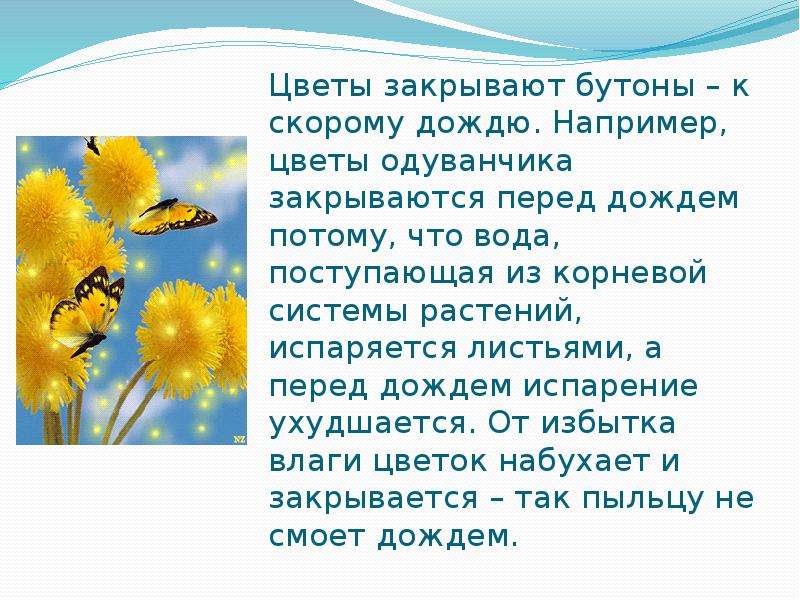 Народные приметы о погоде, слайд №5