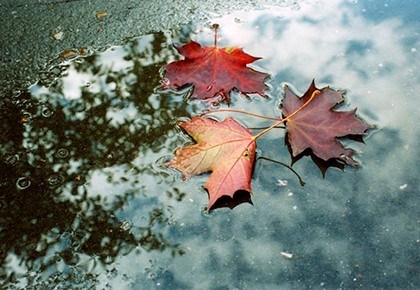 прочитай соедини народные приметы для определения погоды