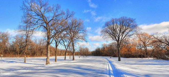 приметы на сретение господне