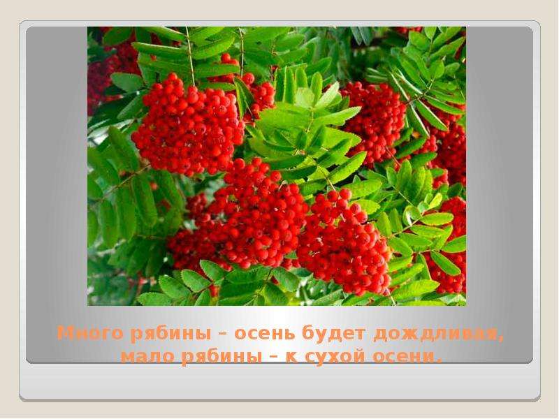 Народные приметы, с помощью которых можно предсказать погоду, слайд №8