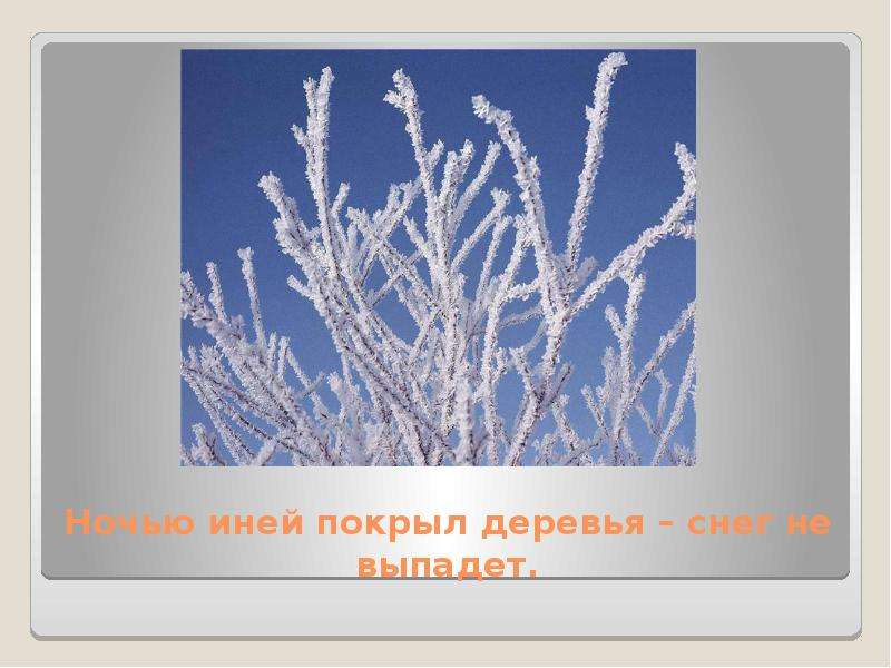 Народные приметы, с помощью которых можно предсказать погоду, слайд №10