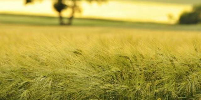 Народные приметы о природе и погоде - значение, варианты толкований, советы