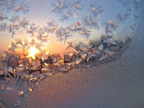 примеры про заморозки и мороз