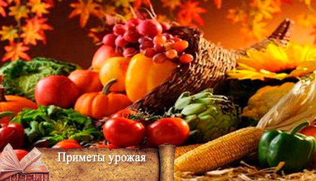 Народные приметы про осень