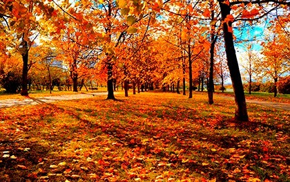 Народные приметы про осень