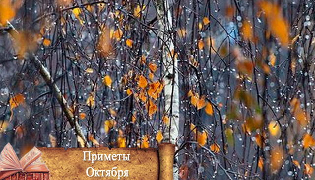 Народные приметы про осень