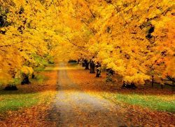 Народные приметы про осень