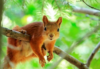 Народные приметы про осень