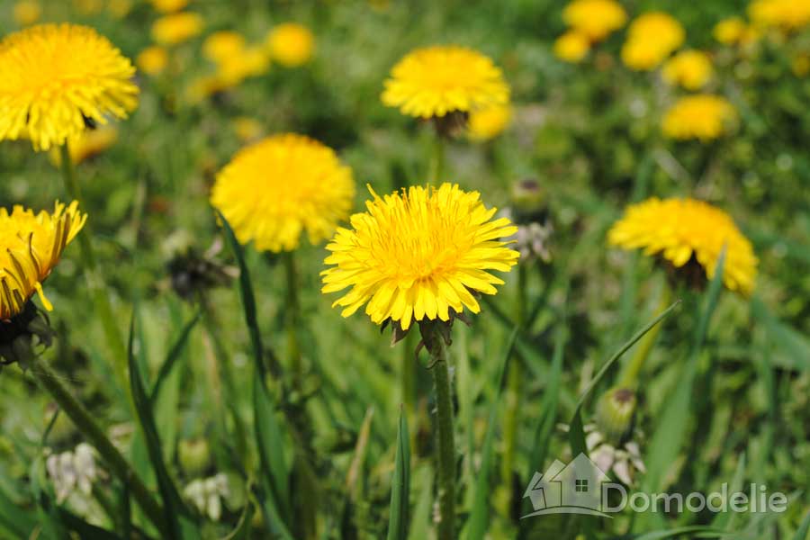 Связанные с погодой народные приметы