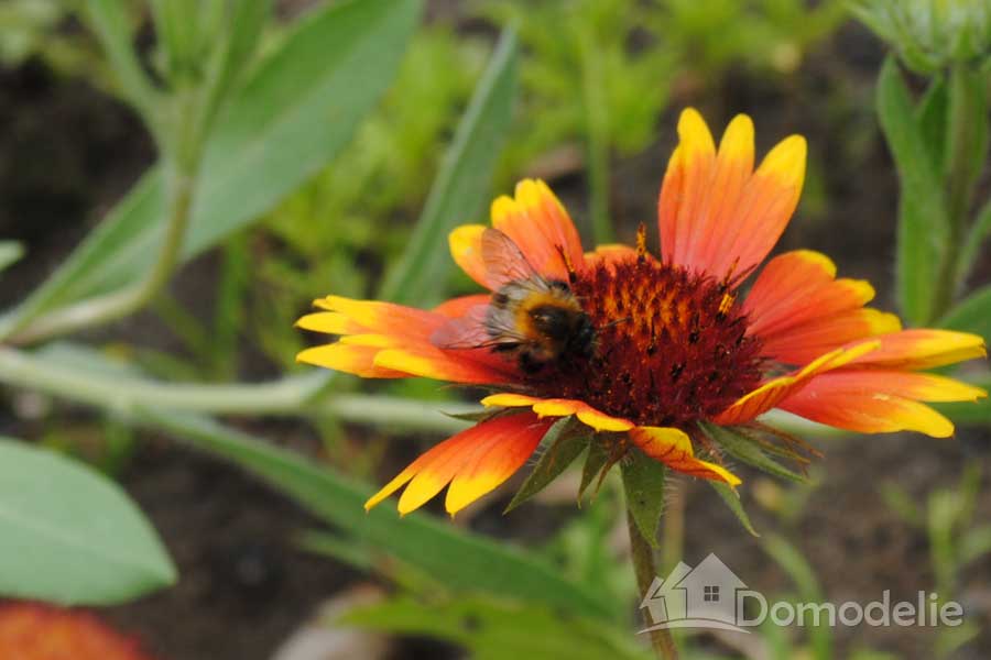 народные приметы связанные с погодой