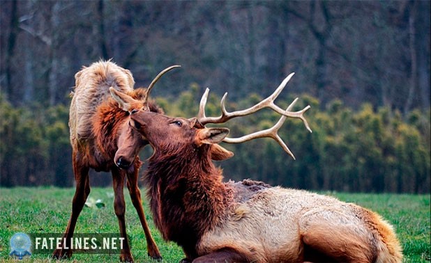 Сентябрь 2014: Народные приметы