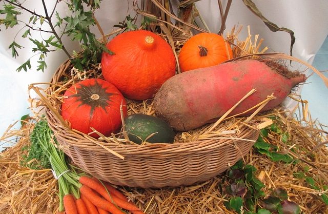 Народные приметы о погоде сентября