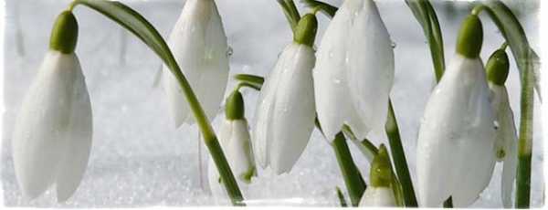 Весенние народные приметы и суеверия о погоде