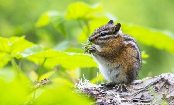 народные приметы и погода