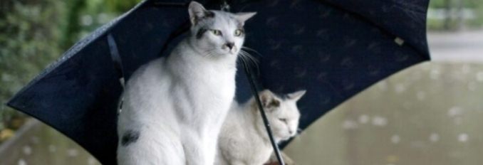 народные приметы и погода