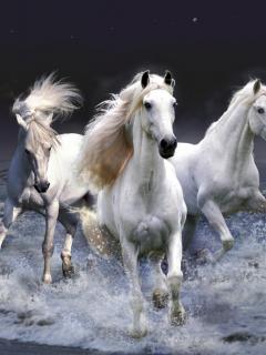 , Народный календарь, приметы и суеверия на декабрь, Общие декабрьские приметы, Народный календарь февраря, фквральские приметы, приметы декабря на каждый день народный календарь в декабре, какие приметы есть в декабре, все про фвраль, зимние приметы, народный календарь, приметы и суеверия, на декабрь, декабрь, зима, приметы на декабрь, народный календарь на декабрь, погода в декабре, зима, зимние месяцы, приметы про зиму, народные приметы, декабрьские приметы, зимние приметы, праздники декабря, 1 декабря, календарь примет, народные поверья, снег в декабре, Масленица, еонец зимы, проводы зимы, про приметы, про поверья, про декабрь, про зиму,зима, зимние месяцы, календарь народный, мудрость народная, декабрь, приметы на декабрь, традиции декабря , календарь примет, календарь декабря, приметы на каждый день, приметы о погоде в декабре, приметы на декабрь, декабрь 2021 года, декабрь 2020 года, приметы и суеверия на декабрьhttp://prazdnichnymir.ru/ Народный календарь, приметы и суеверия на декабрьнародный календарь, приметы и суеверия, на декабрь, декабрь, зима, приметы на декабрь, народный календарь на декабрь, погода в декабре, зима, зимние месяцы, приметы про зиму, народные приметы, декабрьские приметы, зимние приметы, праздники декабря, 1 декабря, календарь примет, народные поверья, снег в декабре, про приметы, про поверья, про декабрь, про зиму, Народные приметы и суеверия на декабрь http://prazdnichnymir.ru/