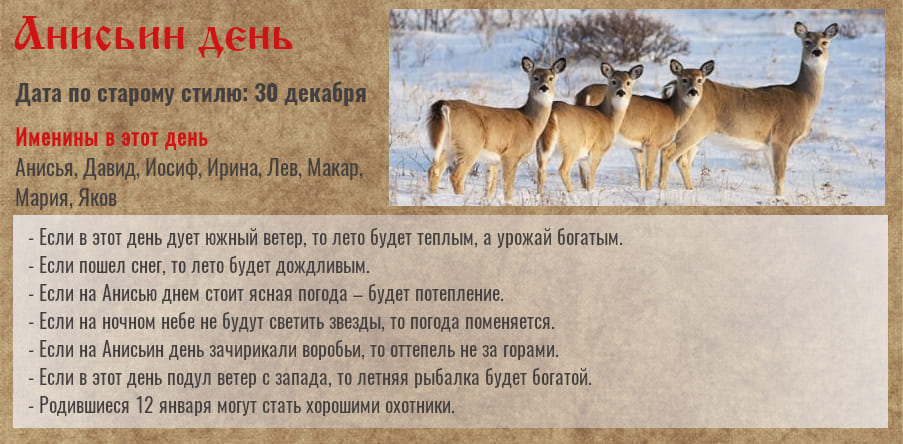 12 января — день Анисьи — Порезухи